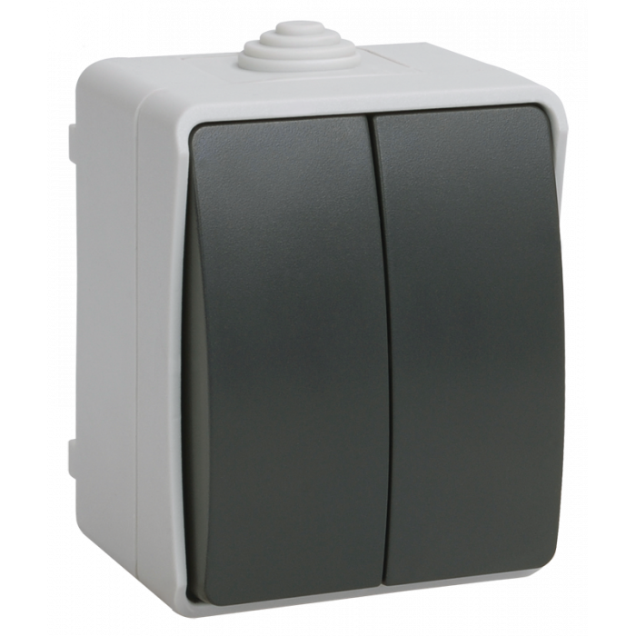 ВС20-2-0-ФСр Выключатель двухклавишный для открытой установки IP54