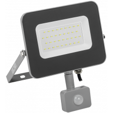 Прожектор СДО 07-30Д светодиодный серый с ДД IP44 (LPDO702-30-K03) ІЕК