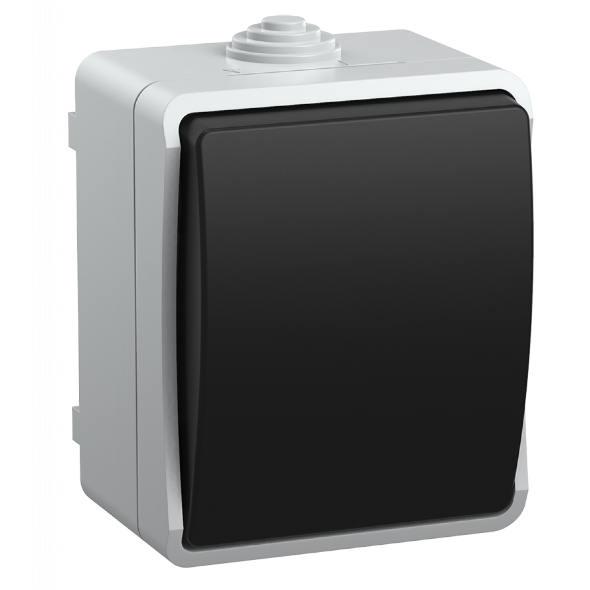 ВС20-1-0-ФСр Выключатель одноклавишный для открытой установки IP54