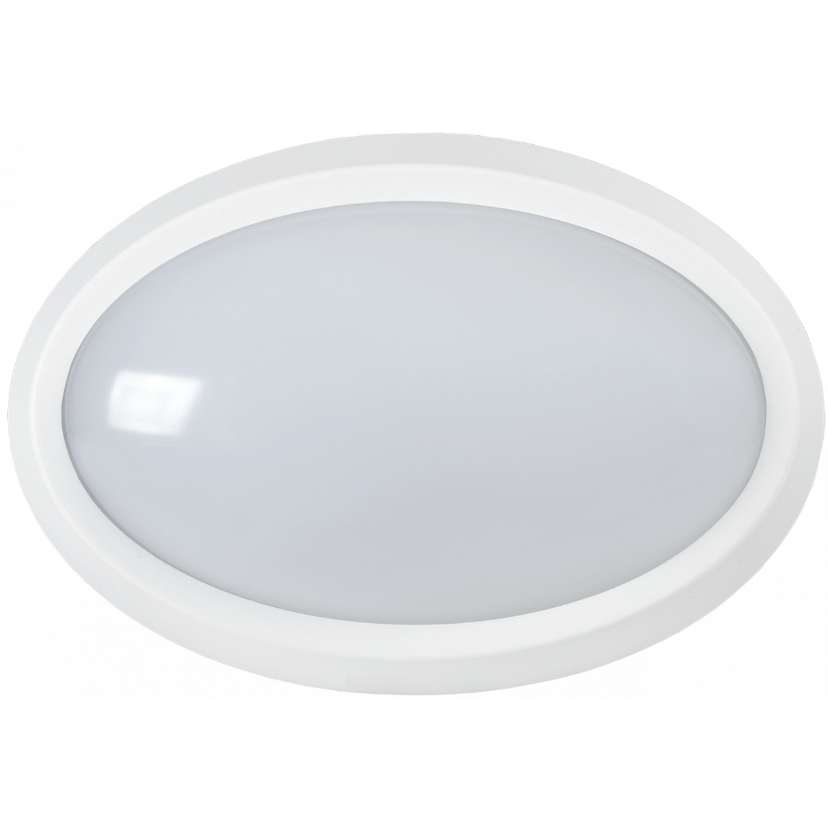 Світильник LED ДПО 5040 12Вт 4000K IP65 овал білий