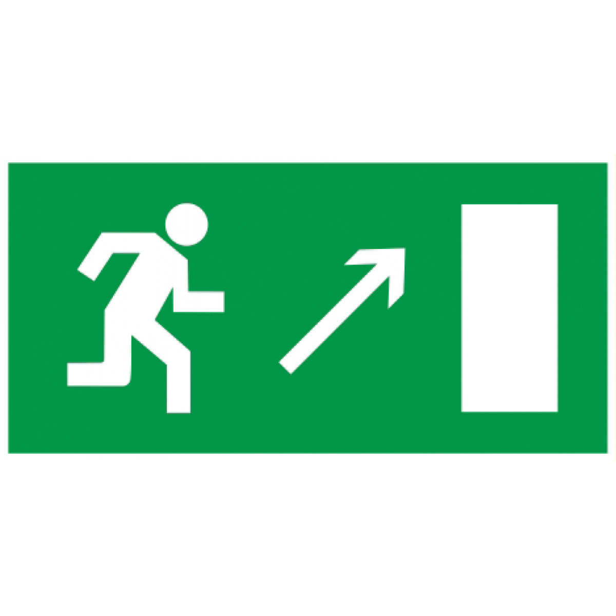 Самокл. етик. 200х100 мм 