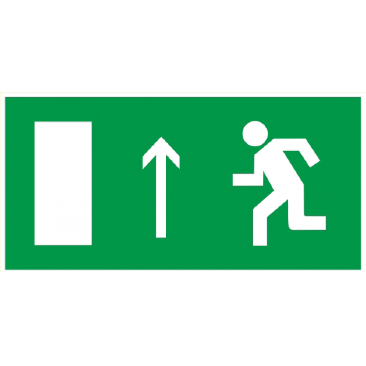 Самокл. етик. 200х100 мм 