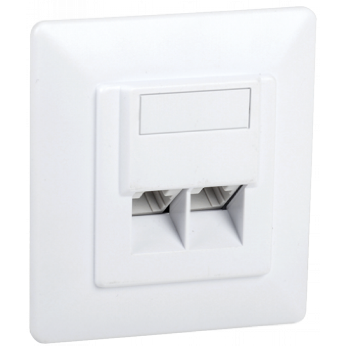 ITK Внутрішня інф. розетка RJ45, кат.5Е UTP, 2-порти (CS2-1C5EU-21) ІЕК